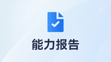能力报告